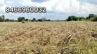 🌿#SANGAREDDY #SADASIVAPET🌿 #KOHIR 10 #ACRES 60  #LAKS #PAR #ACRE🌿cnt 9686461305