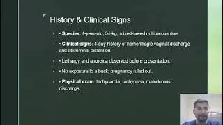 Surgical management of uterine leiomyosarcoma