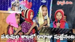 పశువుల శాలలో రారాజు పుట్టేనంట క్రిస్మస్ పండుగా పాట 