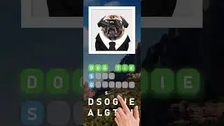 Picture vs Words: Word Guessing game with