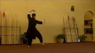 Tan Tui #10 ~ Northern Longfist Kung Fu ~ Marysville, WA