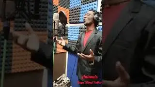 Animal Song  Manoj Vadher