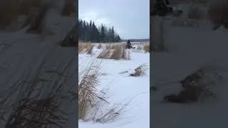 summit 600 carb wheelie flat ground