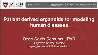 Klinik Hastalık Modellemelerinde Organoid Teknolojisi - Dr. Özge Sezin SOMUNCU