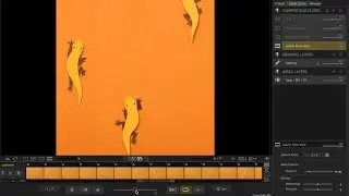 How to change the aspect ratio/dimensions in Dragonframe | Changing to instagram size in Dragonframe