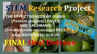 STEM Research Final Oral Defense | GuavaMansi as Body Wash Scrub   Experimental Research Project