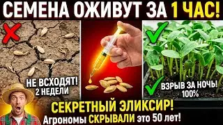 ДАЖЕ МЕРТВЫЕ СЕМЕНА ВЗОЙДУТ ЗА ЧАС! Секретный состав СССР: агрономы просто в ШОКЕ!
