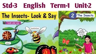 The Insects | 3rd Standard English Term 1 Lesson 2 | Look and Say
