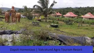 Dapoli Home stays | Vakratund Agro Tourism Resort | Hotels Near Murud, Ladhghar, Karde, Dapoli Beach