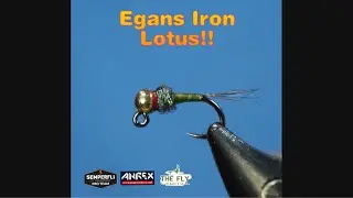 Egans Iron Lotus!