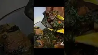 please subscribe please