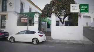 EL REAL DE LA JARA