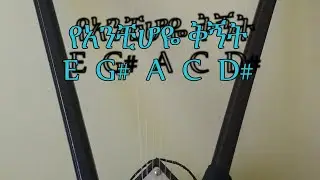 የአንቺ ሆዬ ቅኝት