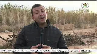 عبد العزيز جرو فلاح يستغل ماء من حوض تربية أسماك  لسقي اشجاره #تيارت #رشايقة