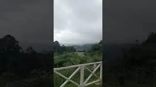 Very Cool Lojing Highlands