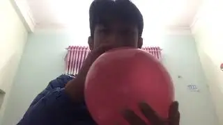 Balloon #11012