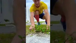 Magic grass!