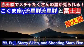 【LIVE】#こぐま座&gamma;流星群極大期  LIVE from 