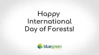 Happy International Day of Forests - bluegreen energy