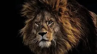 it takes courage to show up and become who you are meant to be