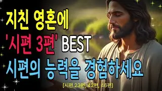 지친 마음을시편 회복하는 시편 모음 | 23편, 42편, 46편 | 성경낭독 | 오디오북