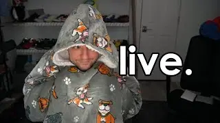 LIVE: someone made a destiny raid in halo, so we're trying it
