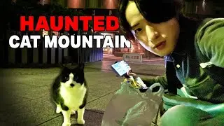 Sora The Troll Visits Scary Cat Mountain (Stream Highlights)