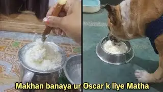 Makhan banya ur Oscar k liye Lassi#yt #vbloger #oscar#dog#pet#petlover #doglover