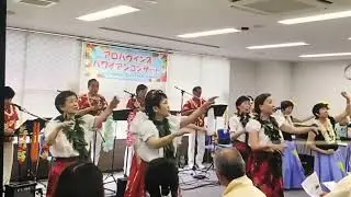 ヨッシー春本　アロハウインズ　南国の夜　ハワイアン　ウクレレ　フラダンス