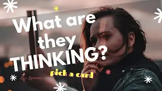 WHAT are they THINKING...? 😣 Pick a Card | Luz Lumiere