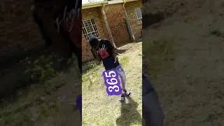 6ixlaze - 365 outro feat Tribe wyse&mash