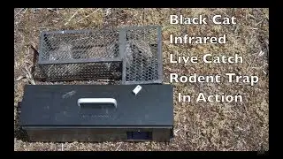 High Tech Trap That 