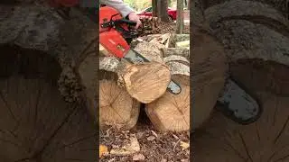 Cookie cutter! #chainsaw #diy