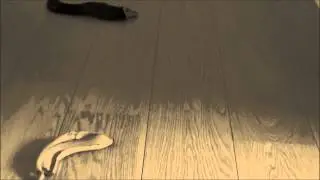 6 om Dagen - Lang reklamefilm