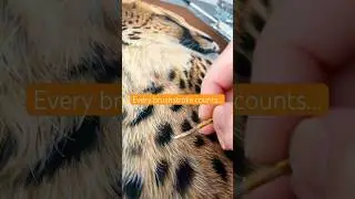 Every Brushstroke Counts - Painting a Cheetah in Acrylics