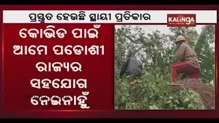 Odisha Planning For Disaster Resilient Power Infrastructure In Cyclone-prone Coastal Districts