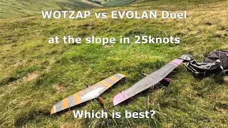 Wotzap VS Evolan Slope Soaring Gliders at the Slope in 25knots
