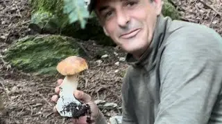 EDULIS ROVENTI 🔥🔥🔥-Funghi Porcini 2024
