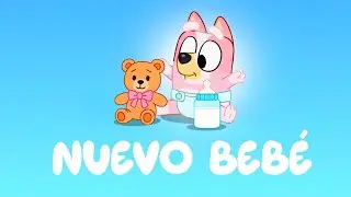 THE NEW BABY! Episode 4 of Bluey (Idea)