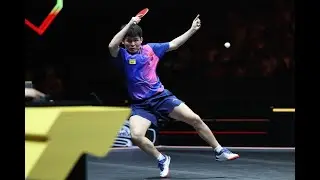 Lin Shidong's Journey to Power: Training Like a Champion