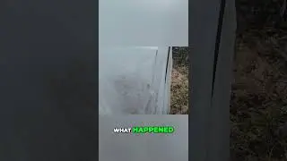 Garden Cover FAILED! Wind Exploits Weak Spot  HUGE Surprise!