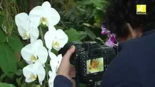 Advanced photography: using live-view when shooting flowers close-up