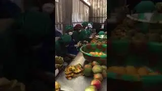 Dried Mango Production in the Ivory Coast (West Africa)