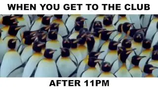 In Line at the Club | Straight Outta Nature | Human Nature, Animal Instincts | Night Life Sketch