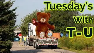 Shipping Machinery That Makes Build-A-Bear's