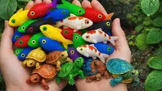 Epic Catch Rainbow Fish Collection, Pencil Fish, Guppy, Seahorse