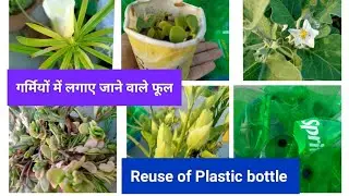 #plasticreuse#summerflowerplant#summervegetables#गर्मी में लगाए जाने वाली सब्जियां व फूल#ytshorts