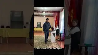 выборы в городской совет / 선거 투표