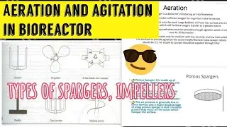 Aeration and Agitation in Bioreactor 🤓