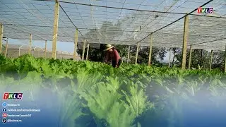 Quy Mông: Phát triển nông nghiệp xanh gắn với giữ gìn bản sắc văn hóa | THLC